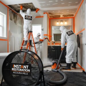 Mold remediation project in a Los Angeles commercial property