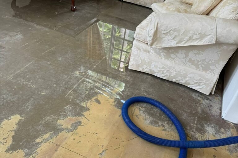 Standing water and extraction hose during the first 24 hours of a water damage emergency in a Calabasas, CA home — Instant Restoration.