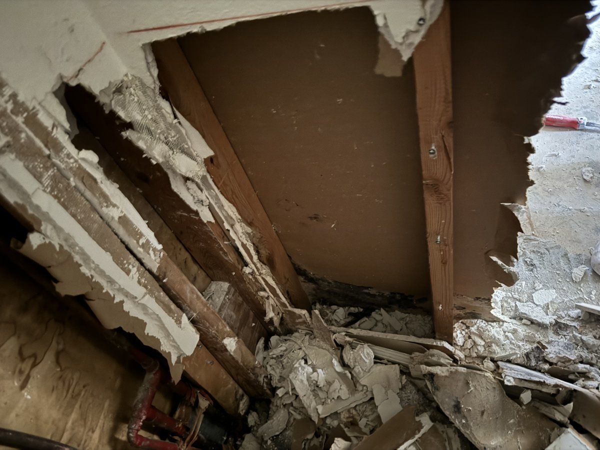 Large mold job - walls and framing opened where the colony followed the water - Calabasas, CA