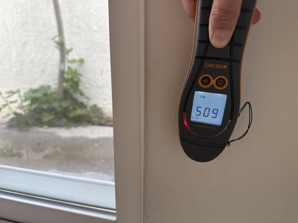 Moisture meter verification during mold remediation - drying is measured, not guessed