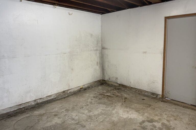 Mold mottling both walls of a garage after contents were cleared - black mold remediation in Oxnard, CA