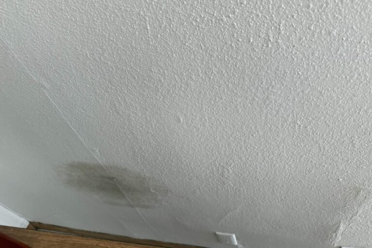 Gray-green growth patch on a textured ceiling - mold or mildew? - Oxnard, CA