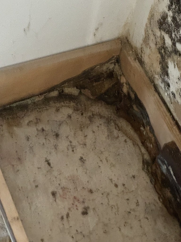 Mold spotting across a floor corner and along the baseboard, framing exposed - mold remediation in Calabasas, CA