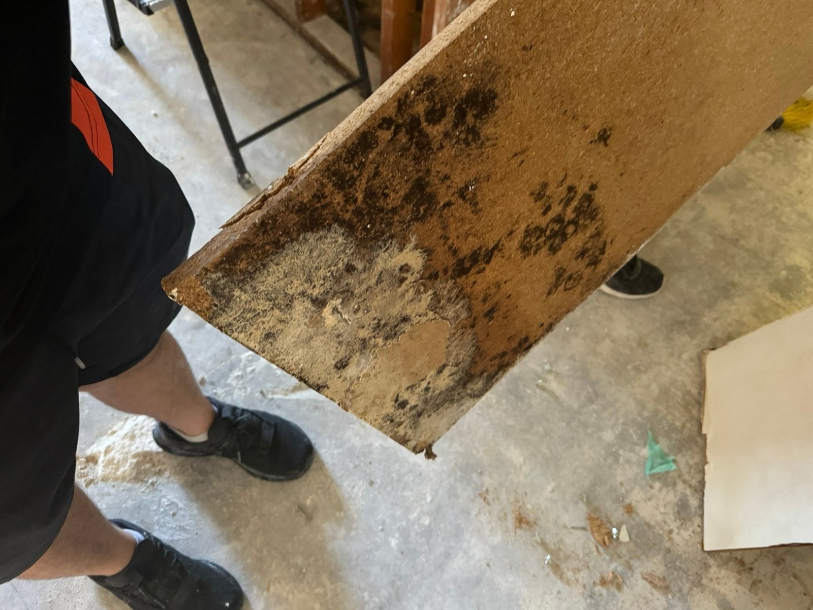Instant Restoration technician carrying out a mold-colonized panel during remediation - removal, not spraying
