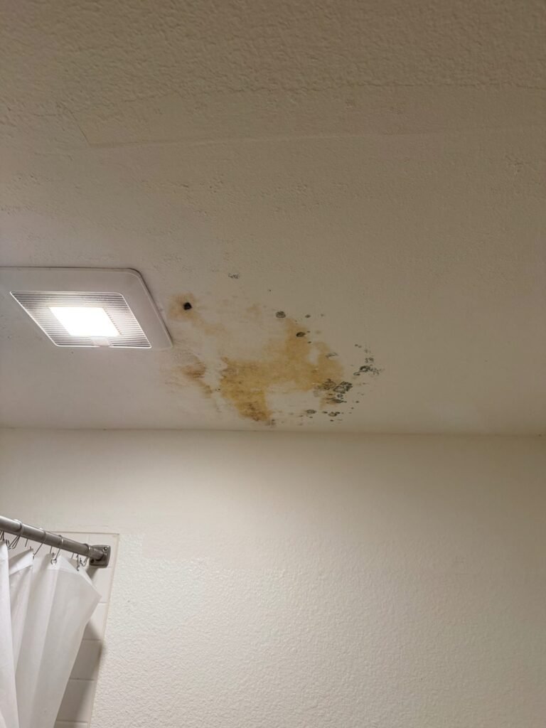 Instant Restoration water damage job in Los Angeles, CA