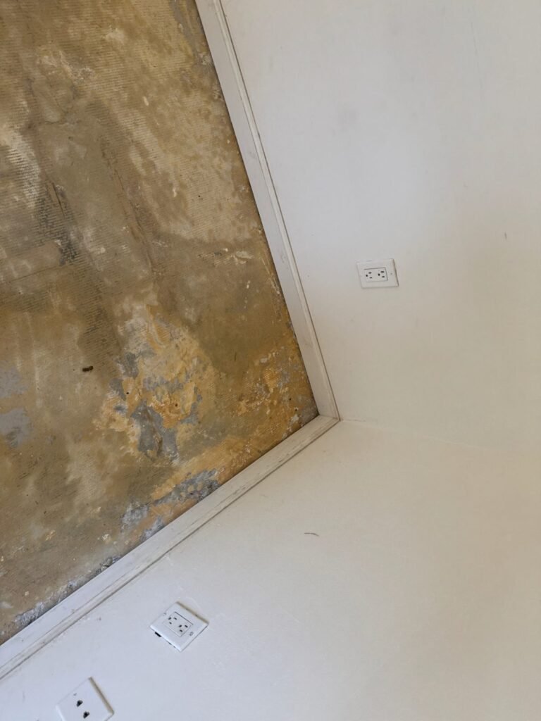 Instant Restoration job (tear-out stage) in Malibu, CA