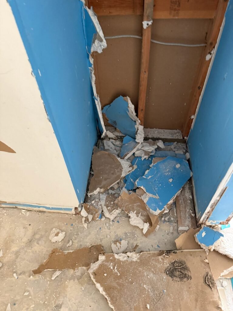 Instant Restoration job (tear-out stage) in Malibu, CA