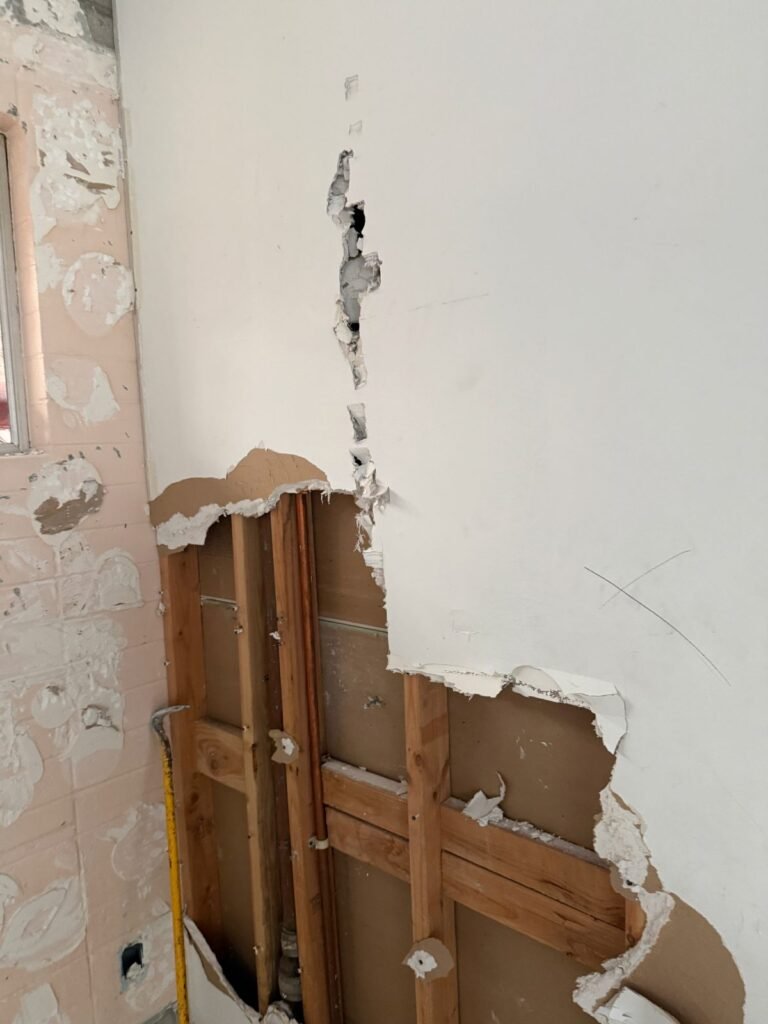 Instant Restoration job (tear-out stage) in Malibu, CA