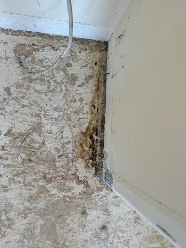 Instant Restoration water damage job in Calabasas, CA