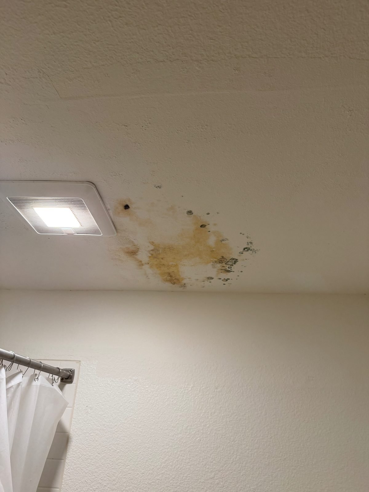 Bathroom ceiling water stain with mold spots beside the exhaust fan - Los Angeles, CA