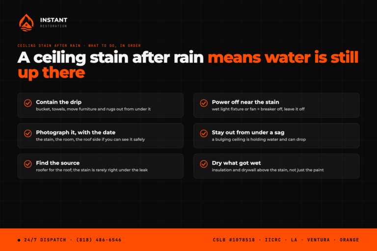 Checklist card: what to do about a ceiling water stain after rain - contain the drip, power off near the stain, photograph it, stay out from under a sag, find the source, dry what got wet
