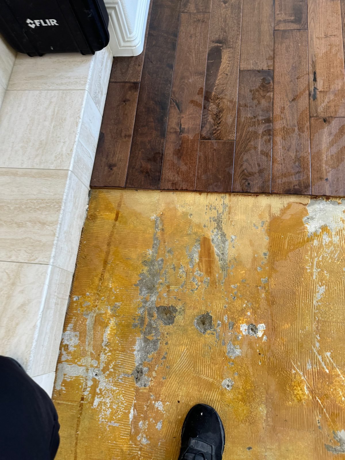 Instant Restoration job photo in Calabasas, CA: Hardwood lifted showing stained mastic and moisture spotting on subfloor beneath