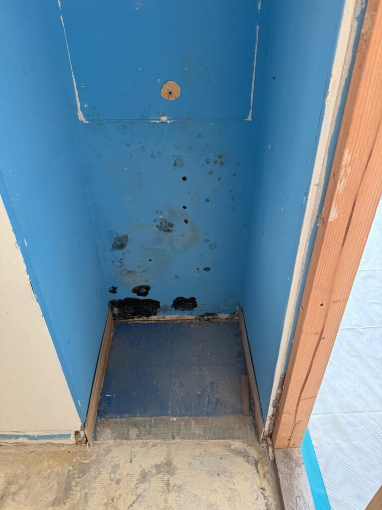 Instant Restoration mold job in Malibu, CA