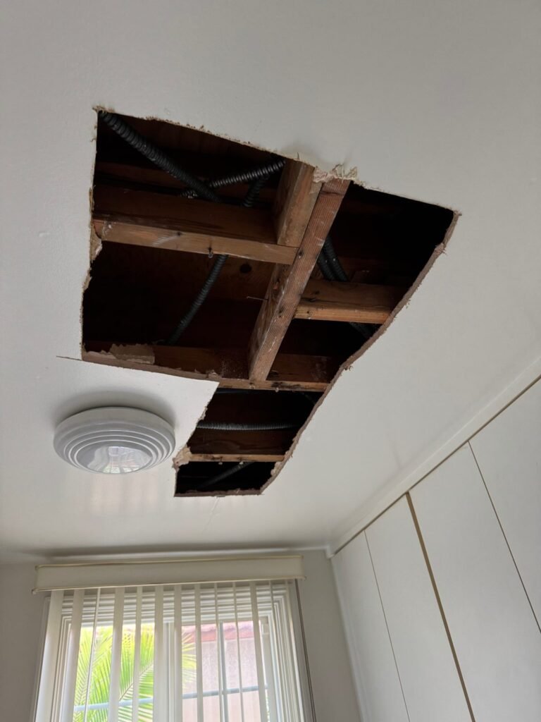 Instant Restoration job (tear-out stage) in Glendale, CA