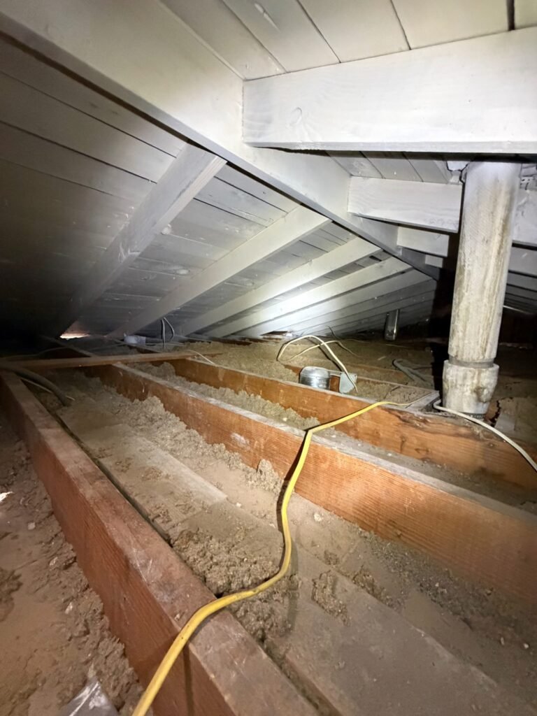 Instant Restoration mold job in Culver City, CA