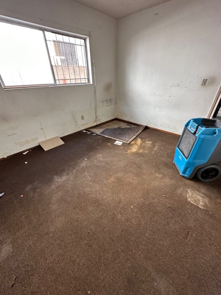 Instant Restoration job (structural drying stage) in Los Angeles, CA