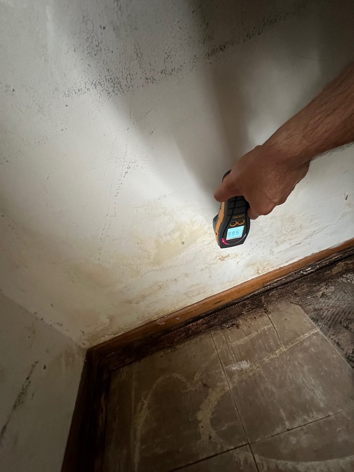 Moisture meter reading 99.5 on a stained wall above rotted subfloor - Los Angeles, CA