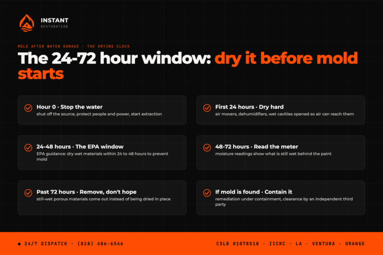Mold after water damage: the 24-72 hour drying window, from stopping the water to drying, moisture readings and removing still-wet materials