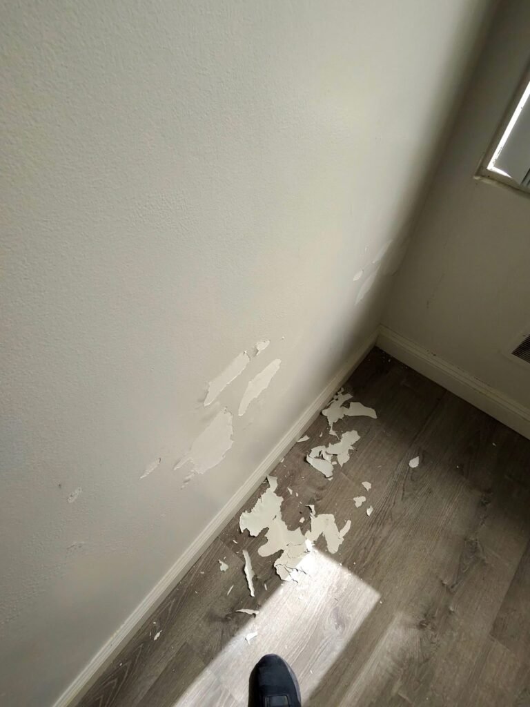 Instant Restoration water damage job in Brentwood, CA