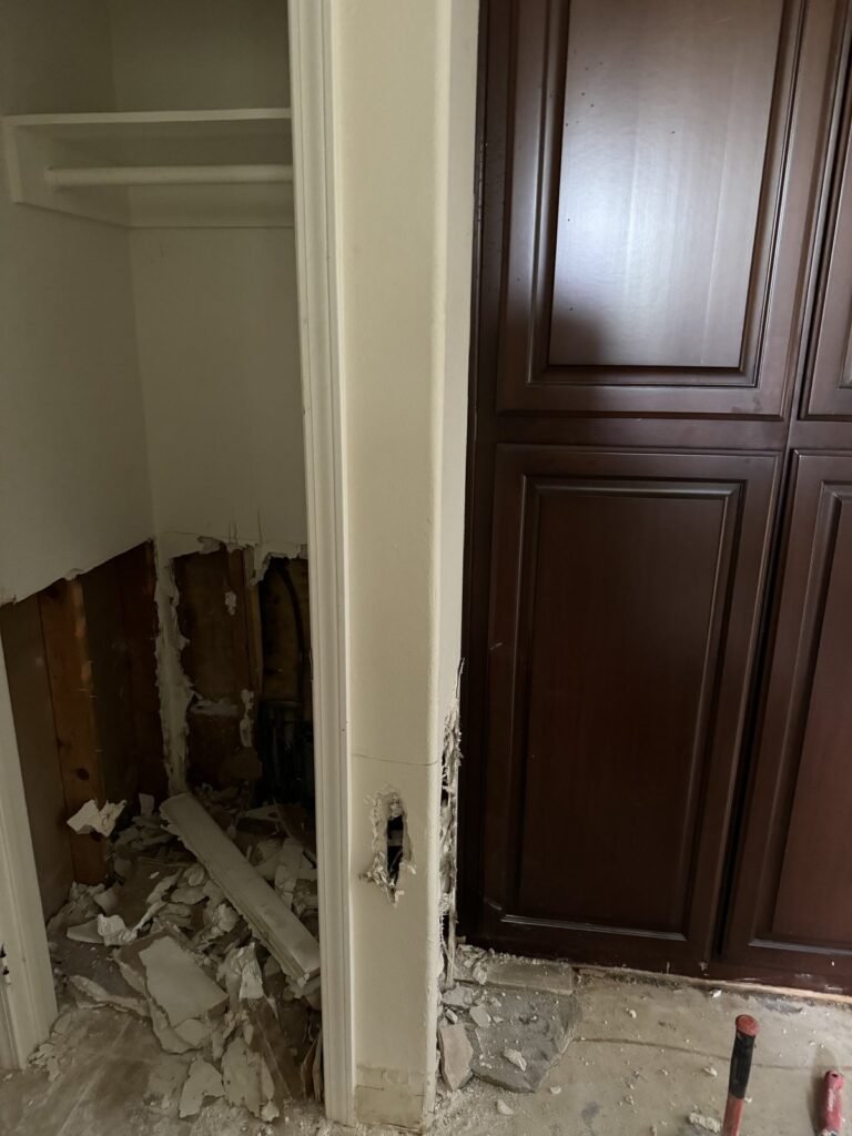 Instant Restoration mold job in Calabasas, CA